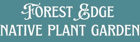 Forest Edge Native Plant Garden at the Little River Nature Preserve