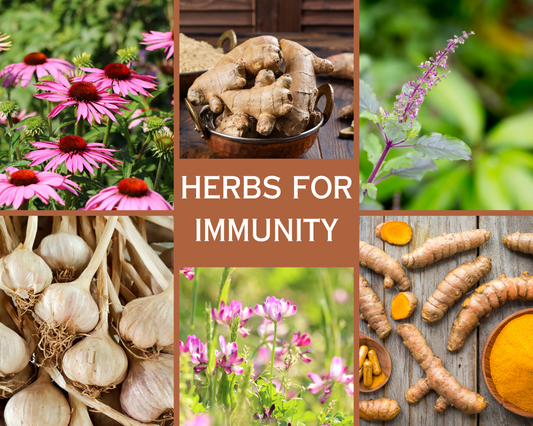 Fall herbs to help boost immunity