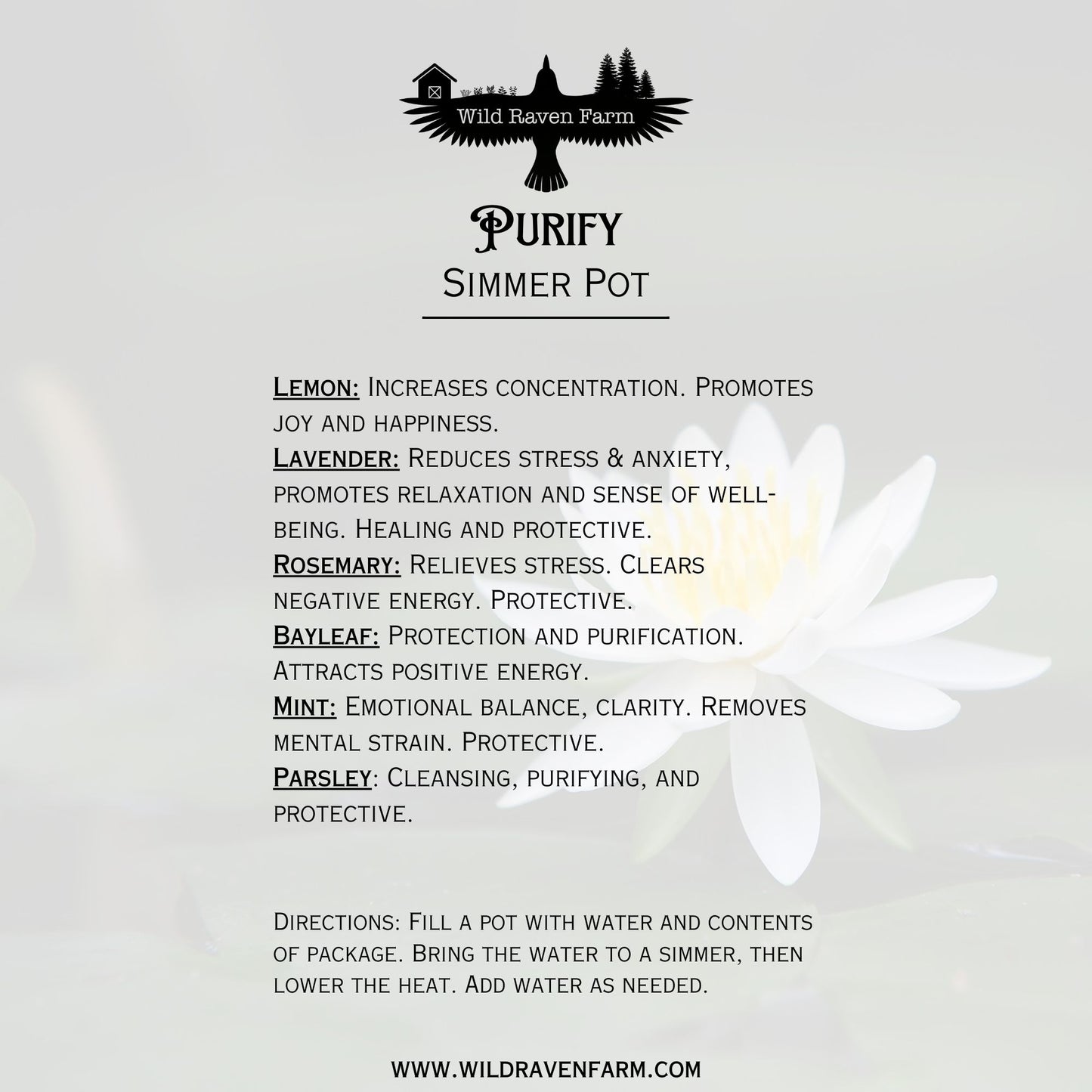 Simmer Pot - Purify