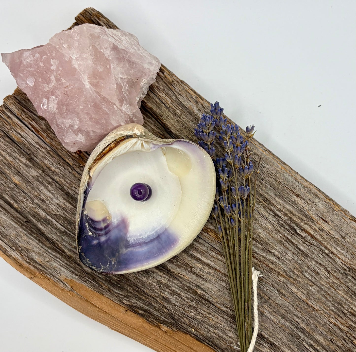 Quahog Shell Incense Burner