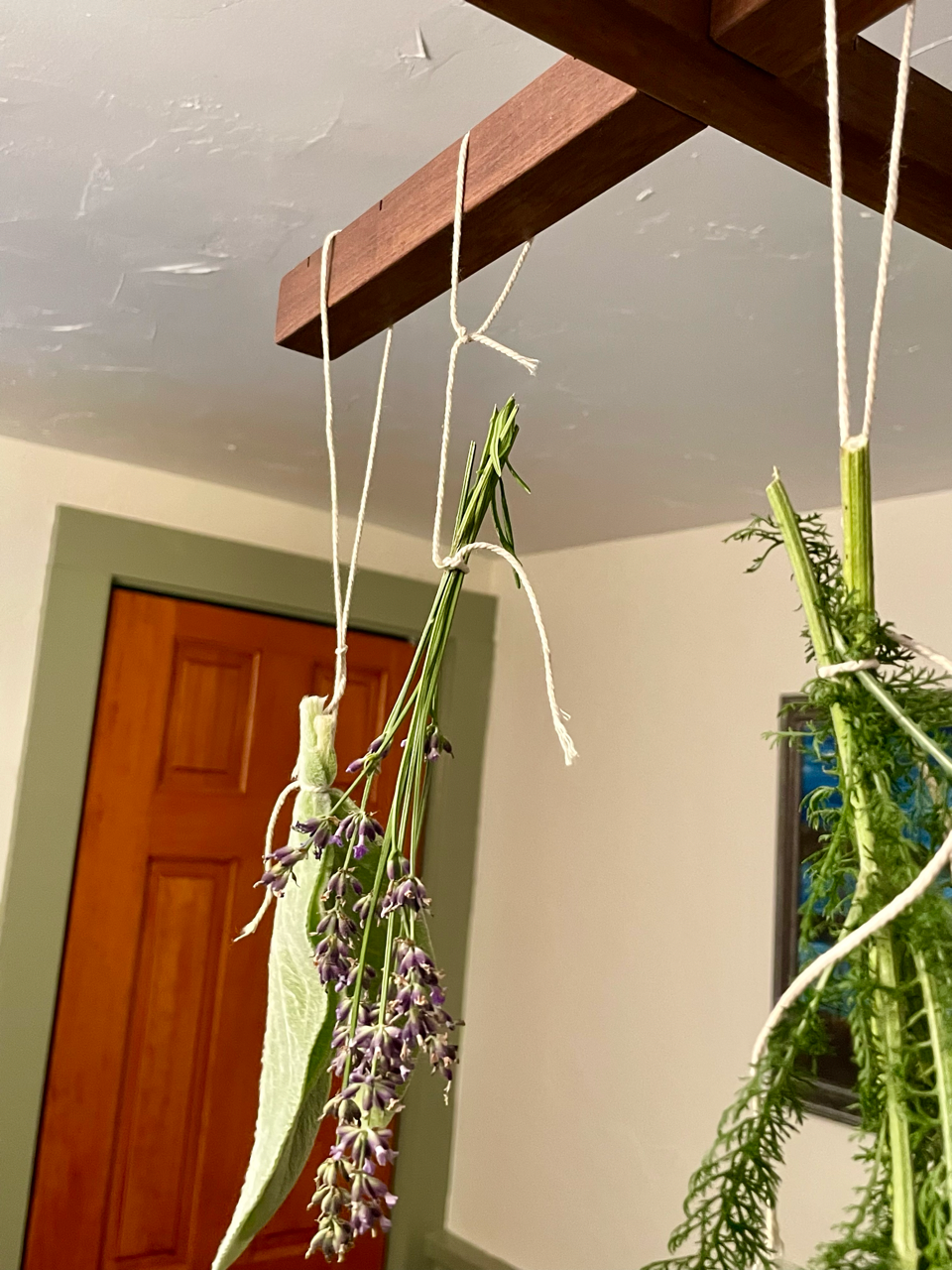 Medium Hanging Herb Drying Rack