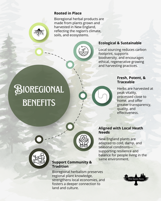 Bioregional Herbalism
