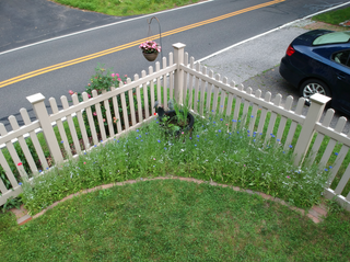 A small corner garden inspired by Monty Don