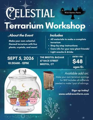 Celestial Terrarium Workshop flyer with event details and terrarium image.