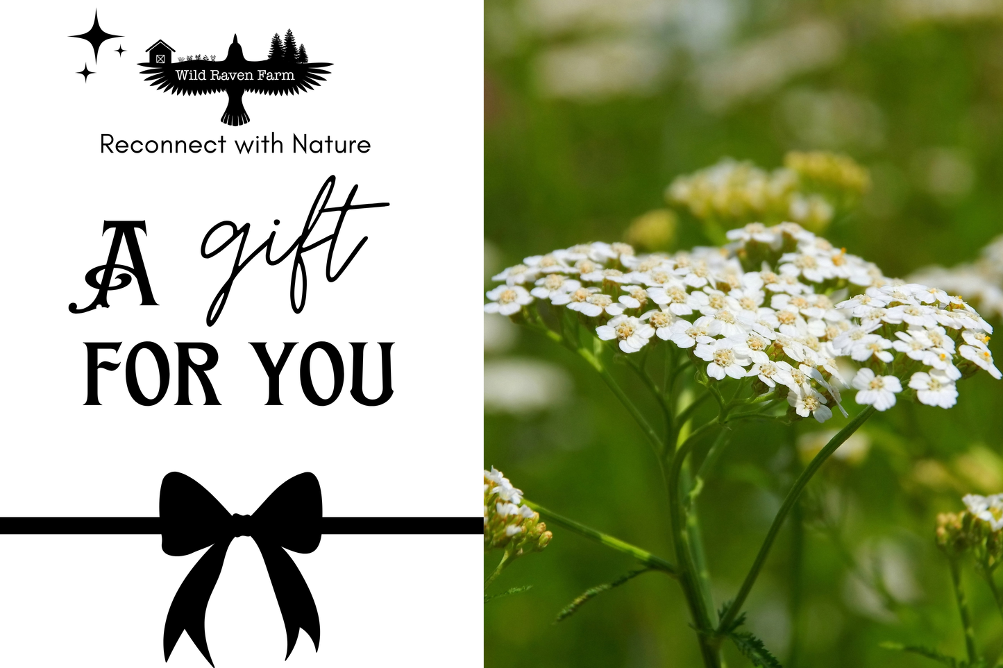 Wild Raven Farm Digital Gift Card