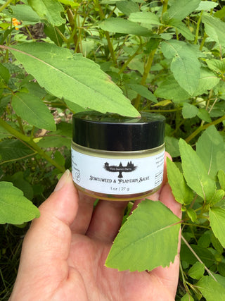 Jewelweed & Plantain Salve