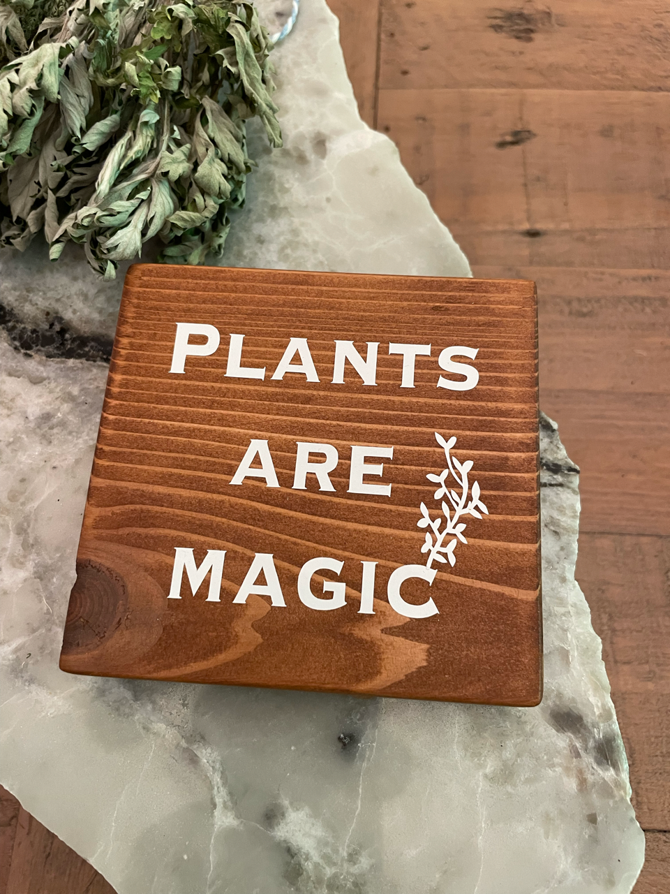 Plants Are Magic Sign