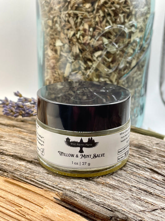 Jar of Willow & Mint Salve on a wooden surface with dried herbs in the background