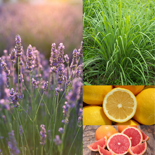 Collage of lavender, grass, lemons, and grapefruits.